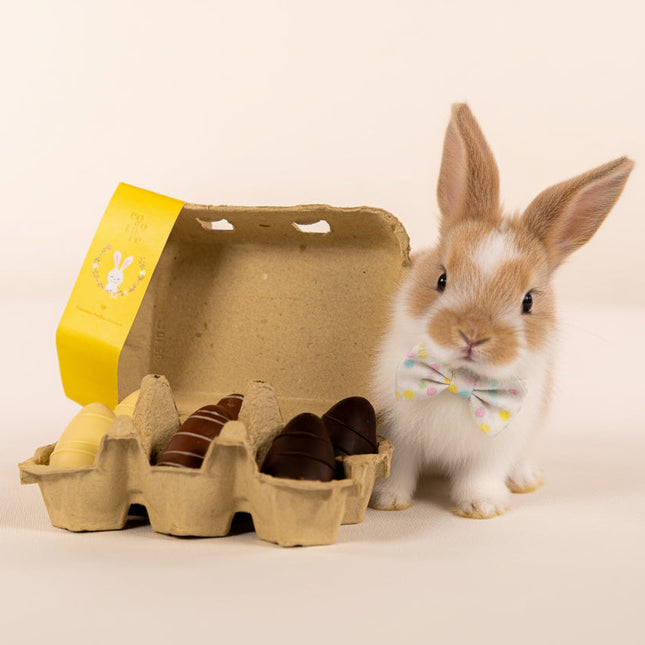 6 stk. 36g ass. marcipanæg i æggebakke med påskebånd