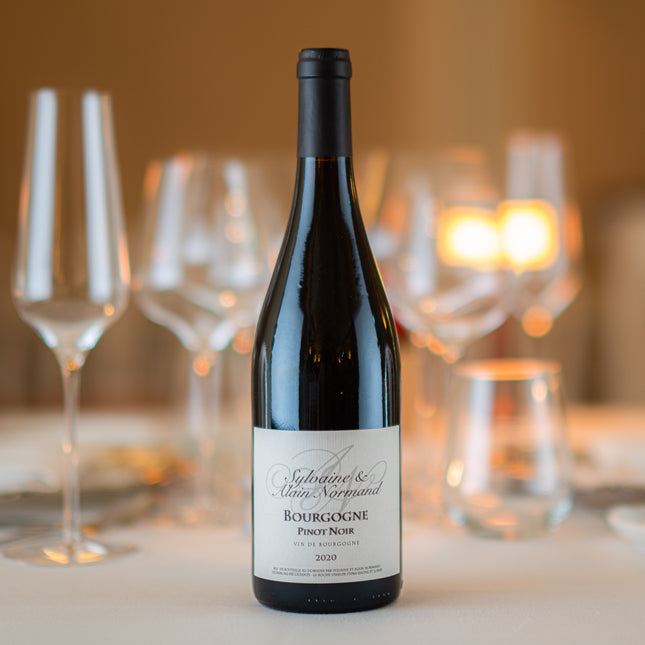 Dom. Sylvaine et Alain Normand, Bourgogne Pinot Noir 2019